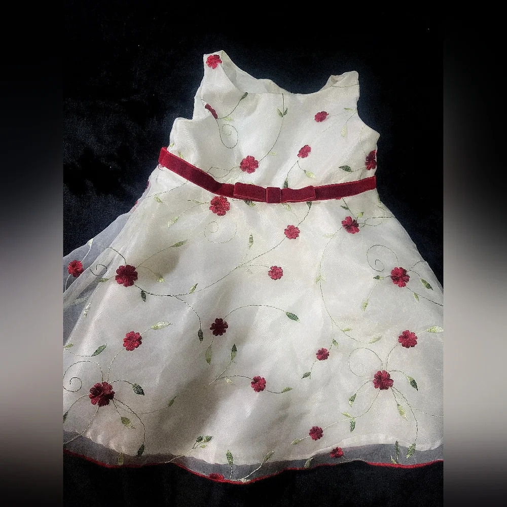 ❤️Youngland Winter Dress - NWOT- Size 24 months - white and red flowers